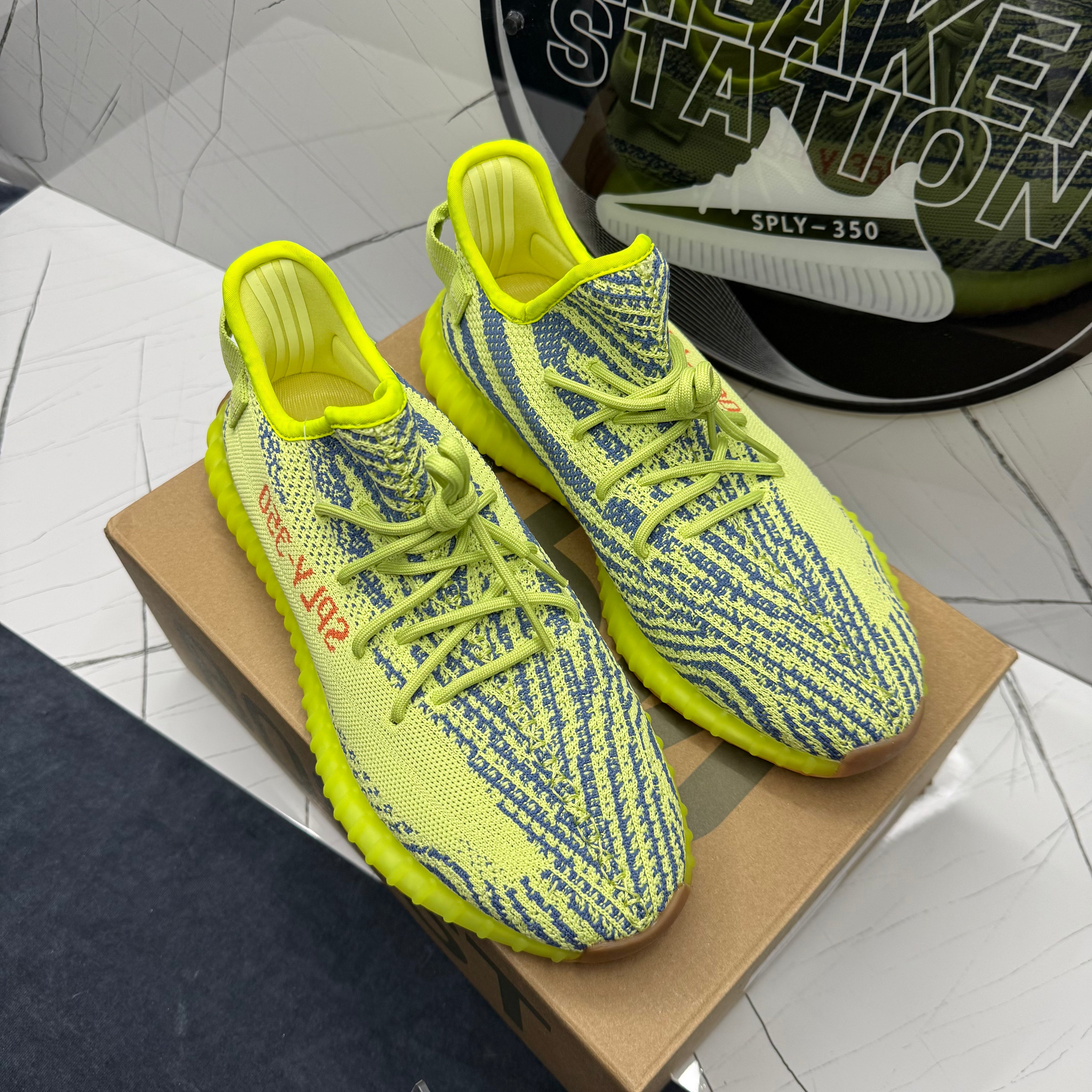 Yellow Zebra